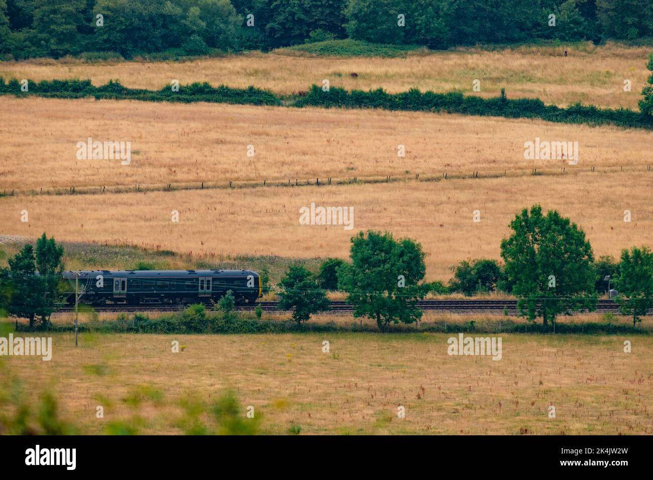 Zug vorbei an Feldern in Surrey während 2022 Dürre. Stockfoto