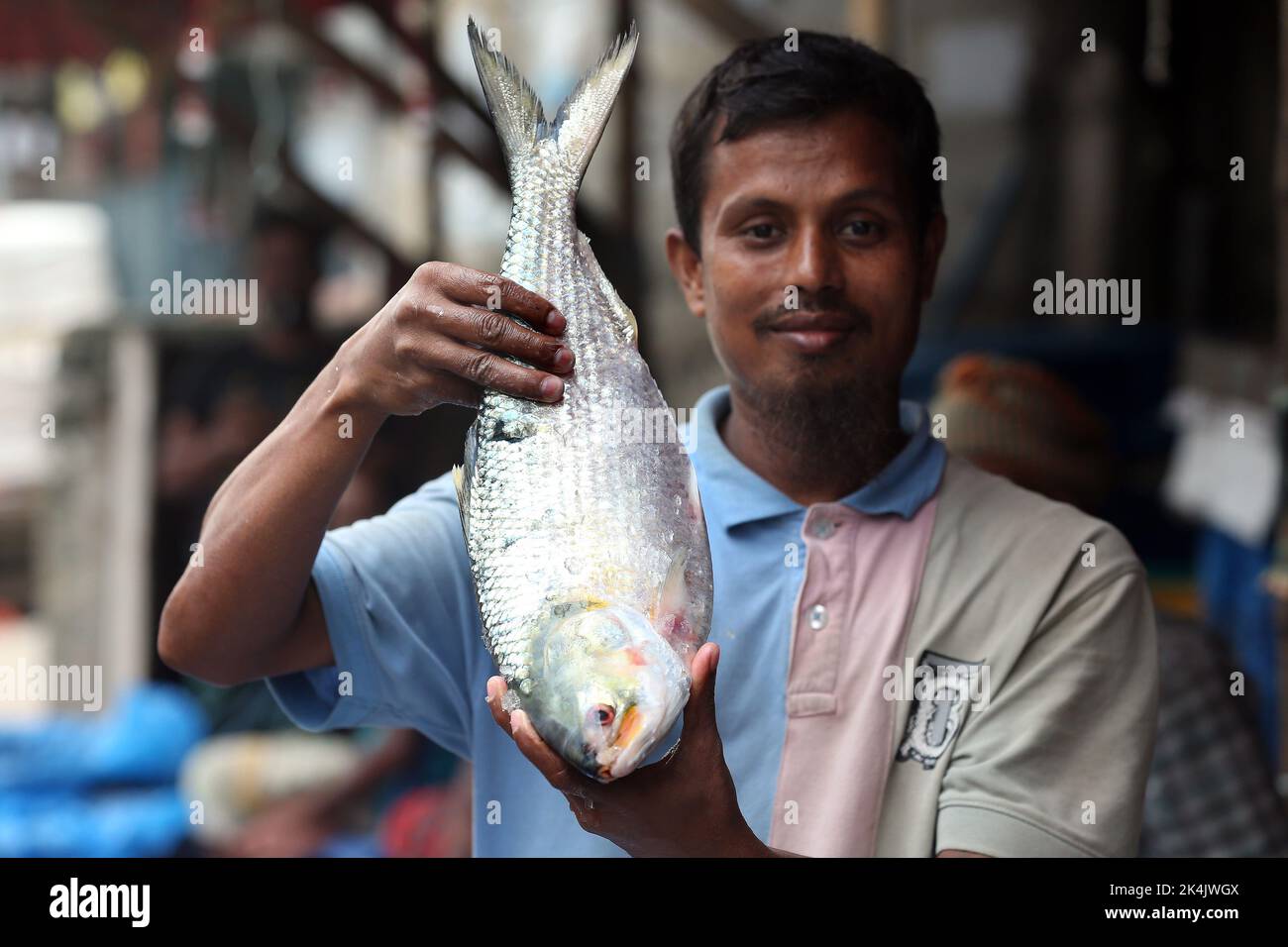 Ein hilsa-Fischhändler hält einen Fisch mit einem Gewicht von 2500 Gramm und berechnet TK 1650 pro kg. In diesem Jahr, auch wenn eine erhebliche Menge an hilsa Fisch hat fa Stockfoto