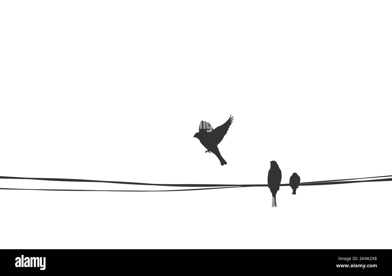 Vogelpaar sitzt auf Draht. Liebe, Scheidung, Trennung Silhouette Vektor-Illustration. Einfache Stock Bild. Sperling Familie auf Kabel Mutter Vater Stock Vektor