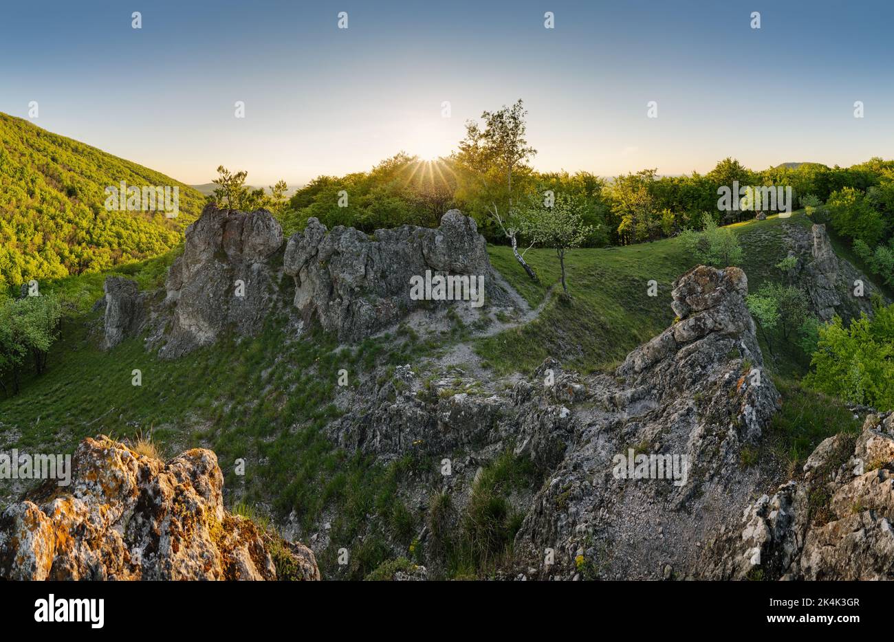 Schönen Wald im Frühling mit hellen Sonne scheint durch die Bäume Stockfoto