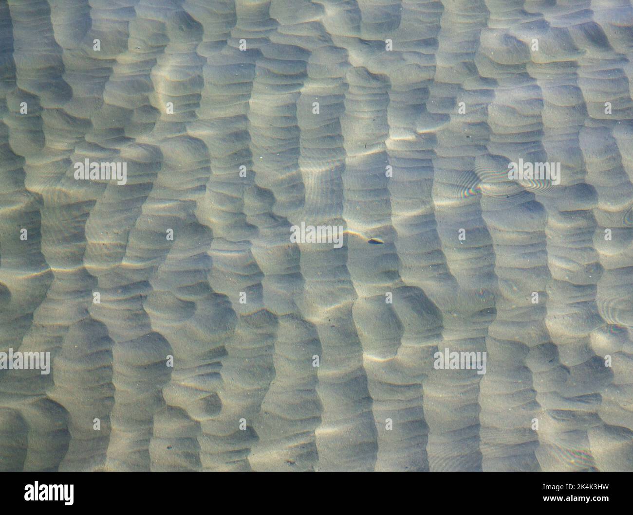 Sandiger Meeresboden oder Meeresboden, der durch klares Meerwasser gesehen wird und auf der Meeresoberfläche Sonnenlicht reflektiert wird. Stockfoto