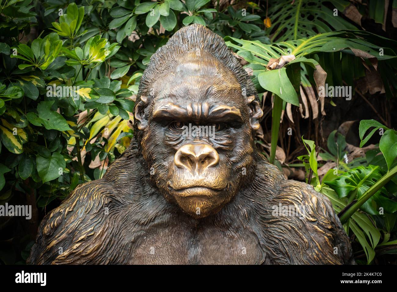 Teneriffa, Spanien - August 2022: Gorilla-Statue im Loro Parque auf Teneriffa Stockfoto