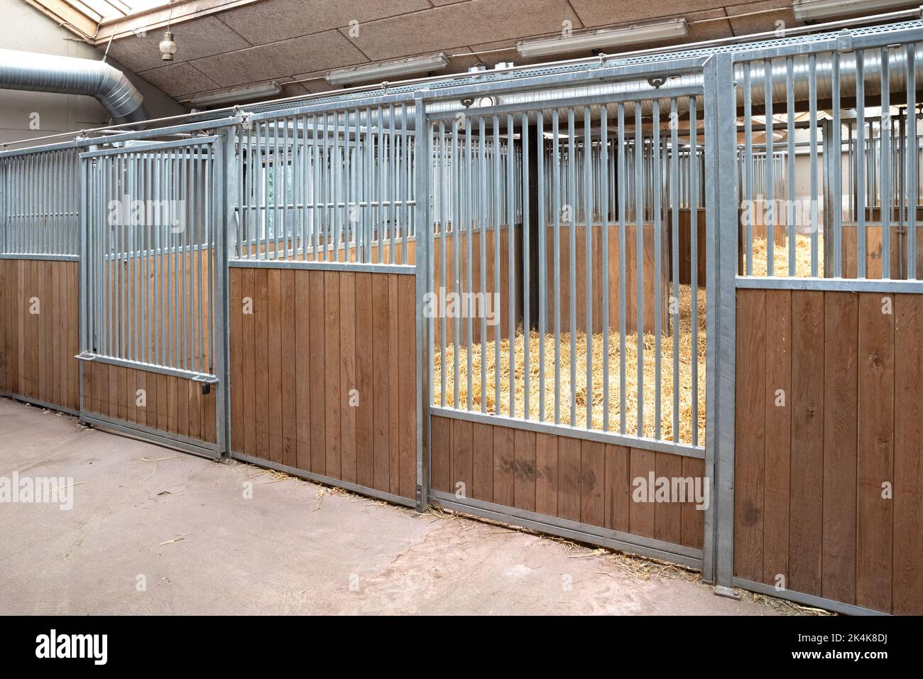 Leerer Käfig (keine Tiere), Innenbereich, selektiver Fokus Stockfoto