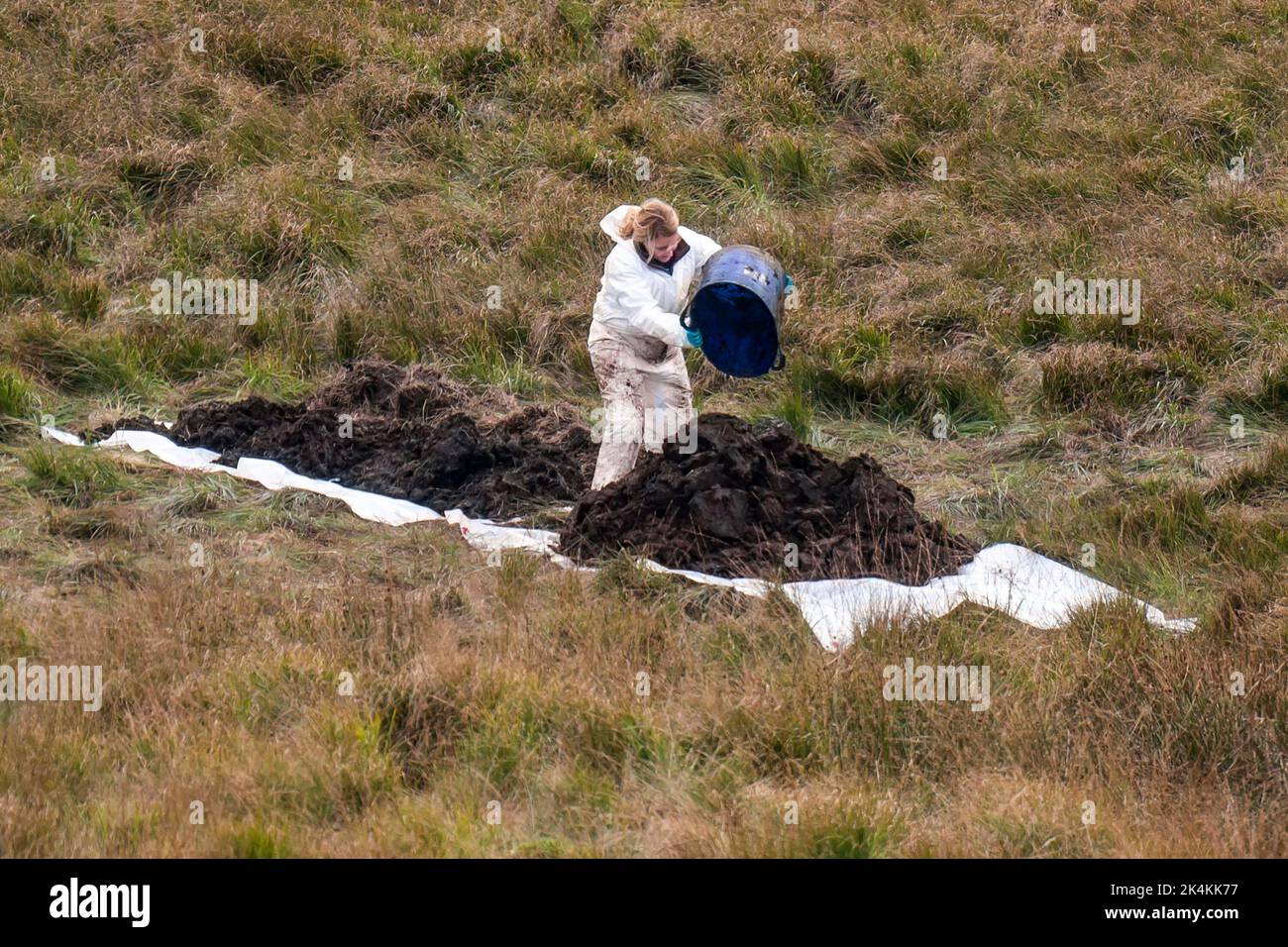 Beamte der Greater Manchester Police führen eine Durchsuchung auf Saddleworth Moor im Nordwesten Englands nach den Überresten der Leiche des 12-jährigen Keith Bennett fort, eines von fünf Opfern von Ian Brady und Myra Hindley. Bilddatum: Montag, 3. Oktober 2022. Stockfoto