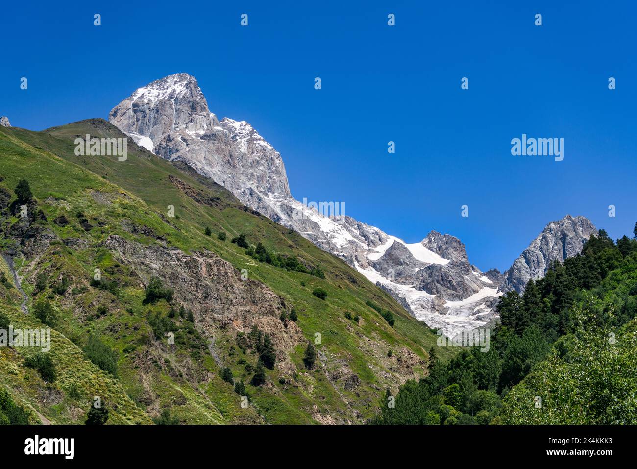 Ushba Berg (4710m hoch) in Upper Svaneti, Georgia. Blick vom Guli-Tal. Stockfoto