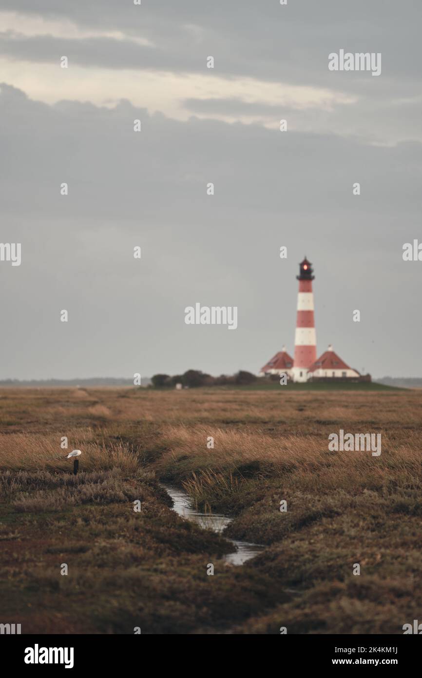 Westerheversand Leuchtturm an der Nordseeküste. Hochwertige Fotos Stockfoto