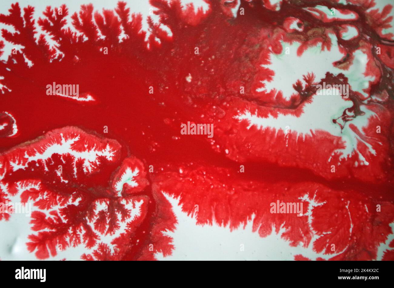 Rote Farben in Acryl Stockfoto