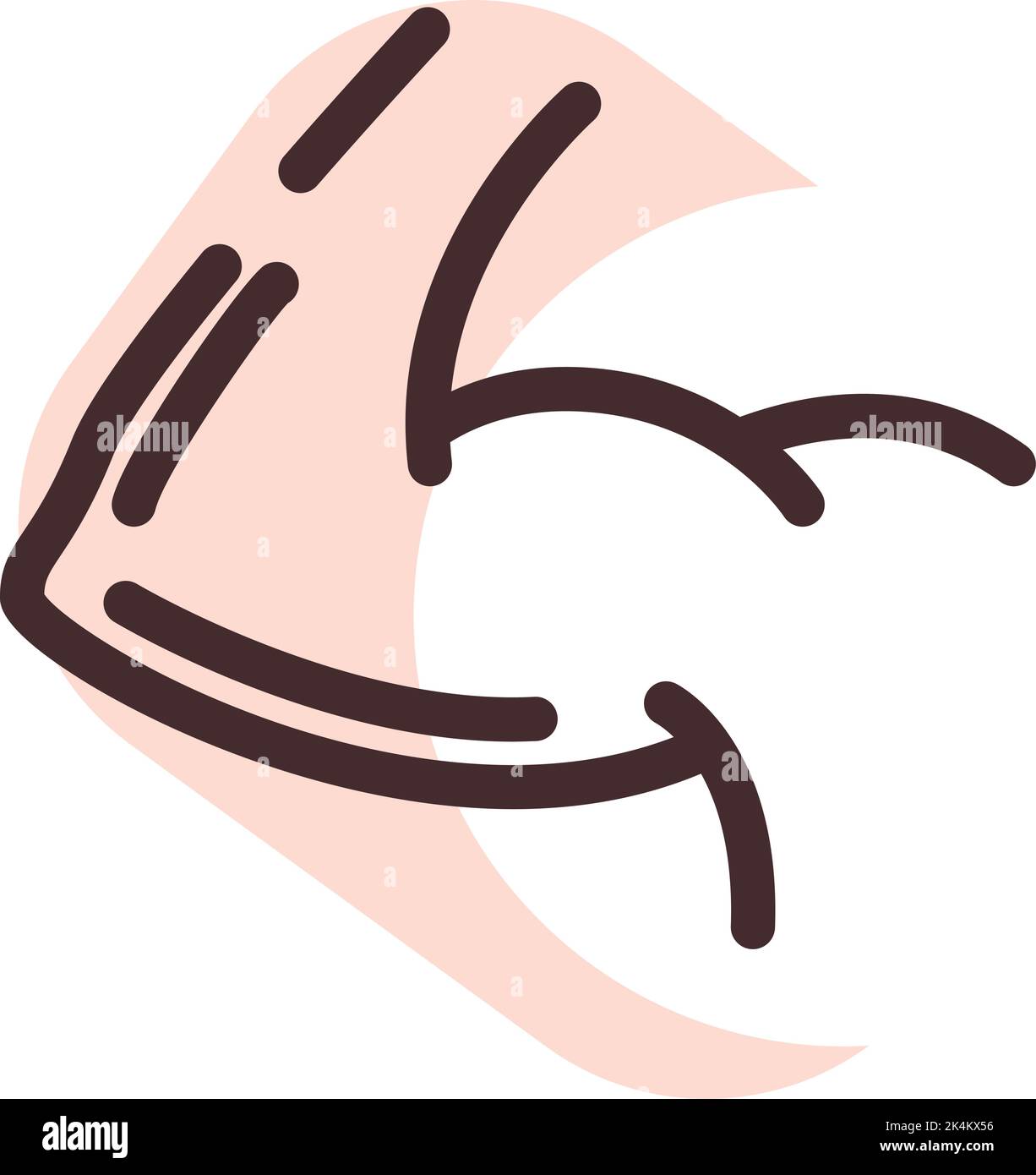 Humaner Bizeps, Illustration, Vektor auf weißem Hintergrund. Stock Vektor