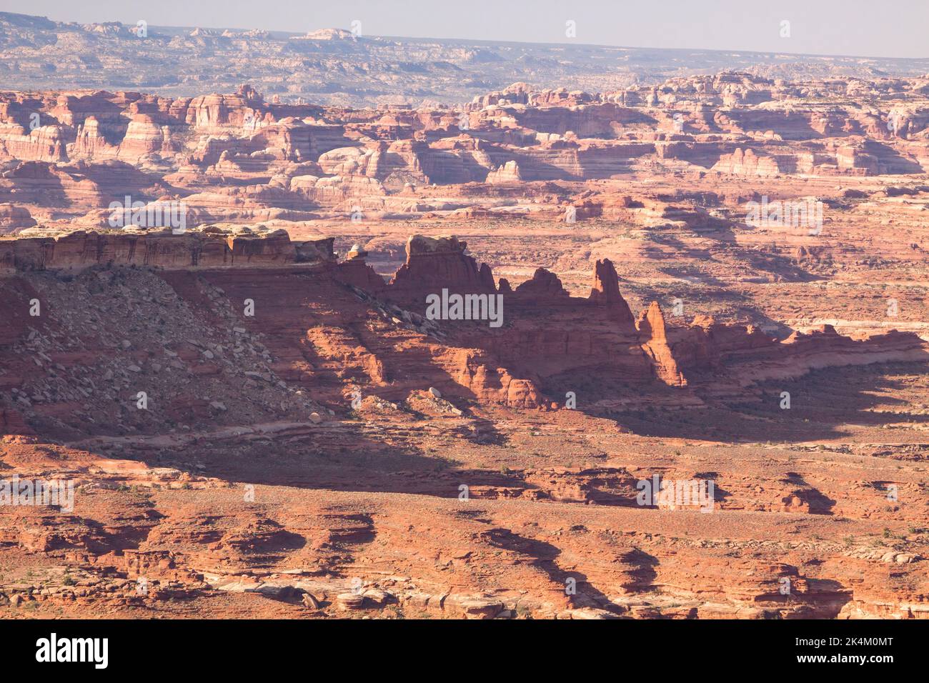 Südansicht von Murphy's Hogback auf dem White Rim Trail in Richtung Needles District im Canyonlands Natioinal Park, Utah. Morgenlicht. Stockfoto