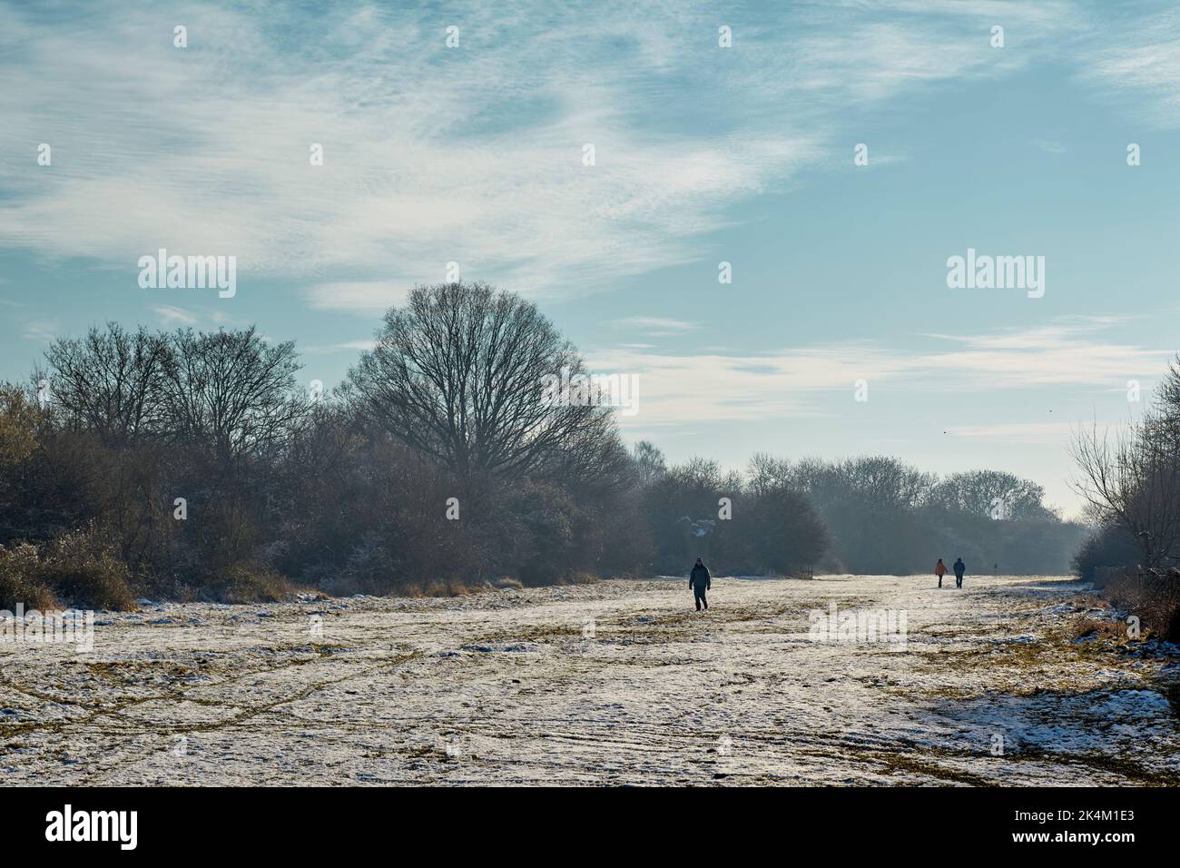 Hatfield Forest an einem frostigen Wintertag, Bishop's Stortford Stockfoto