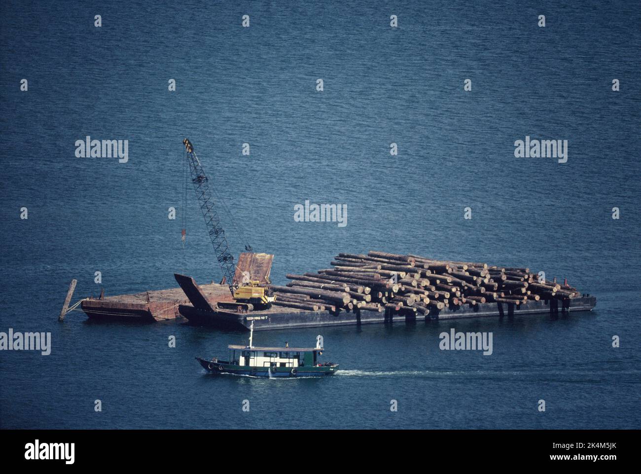 Malaysia. Sabah. Sandakan Hafen. Übersicht über die Baumstämme auf dem schwimmenden Lastkahn mit Caterpillar-Kran. Stockfoto