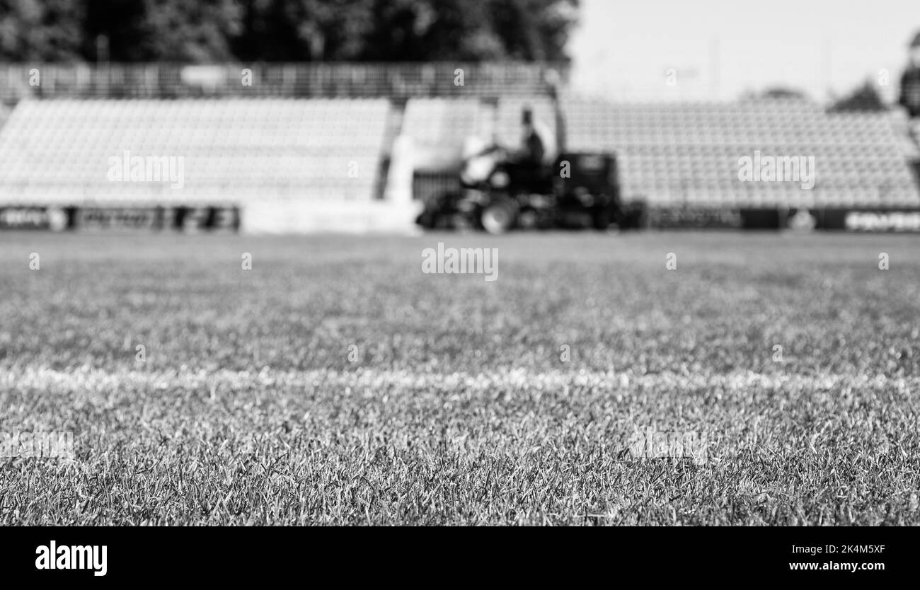 Grünes Gras auf Outdoor-Stadion, selektiver Fokus, Sport. Stockfoto