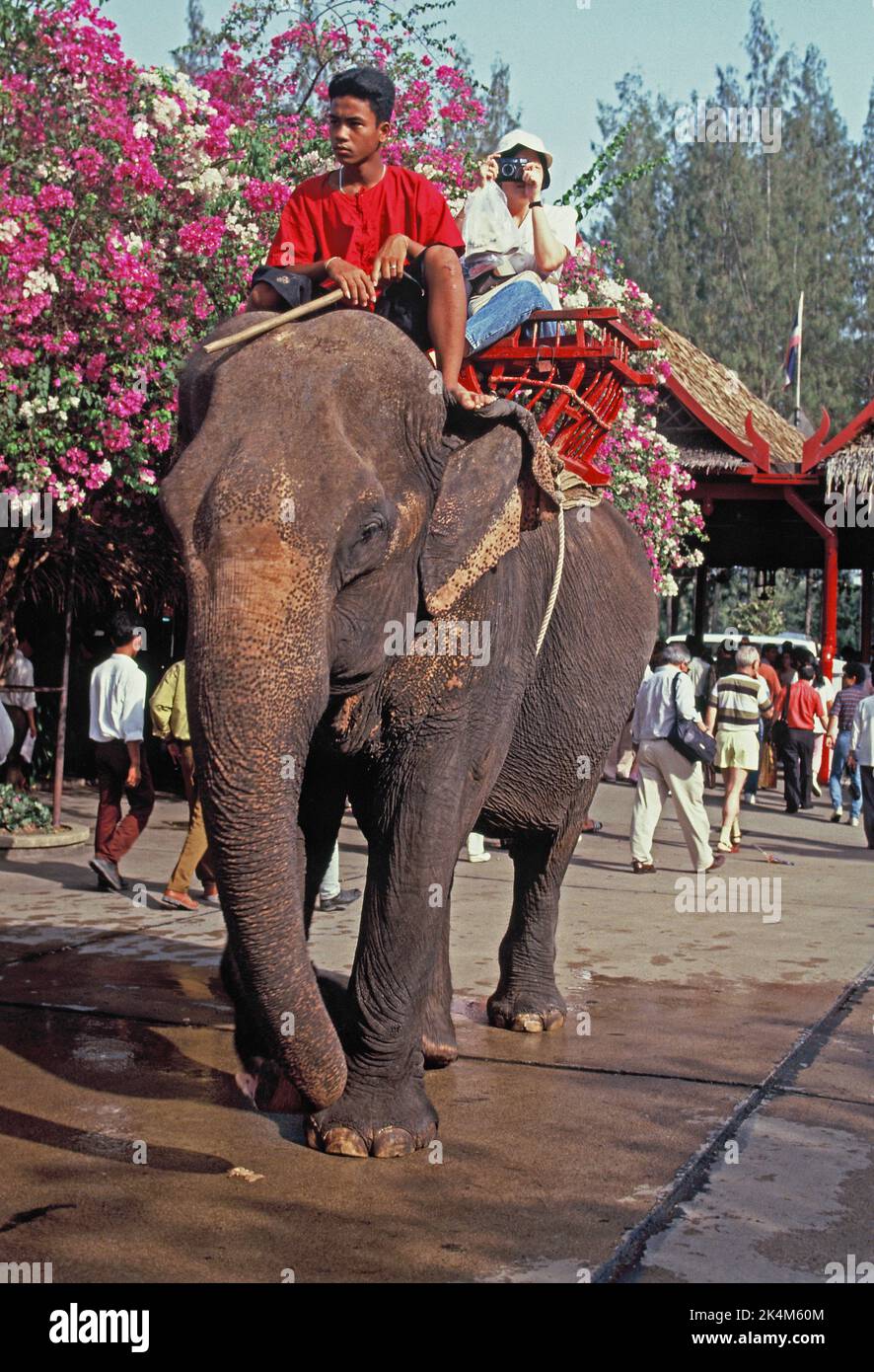 Thailand. Nakhon Pathom. Rosengarten. Tourist mit Kamera Reiten auf Elephant. Stockfoto