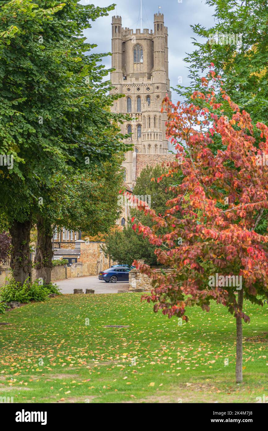 Kathedrale von Ely Cambridgeshire Stockfoto
