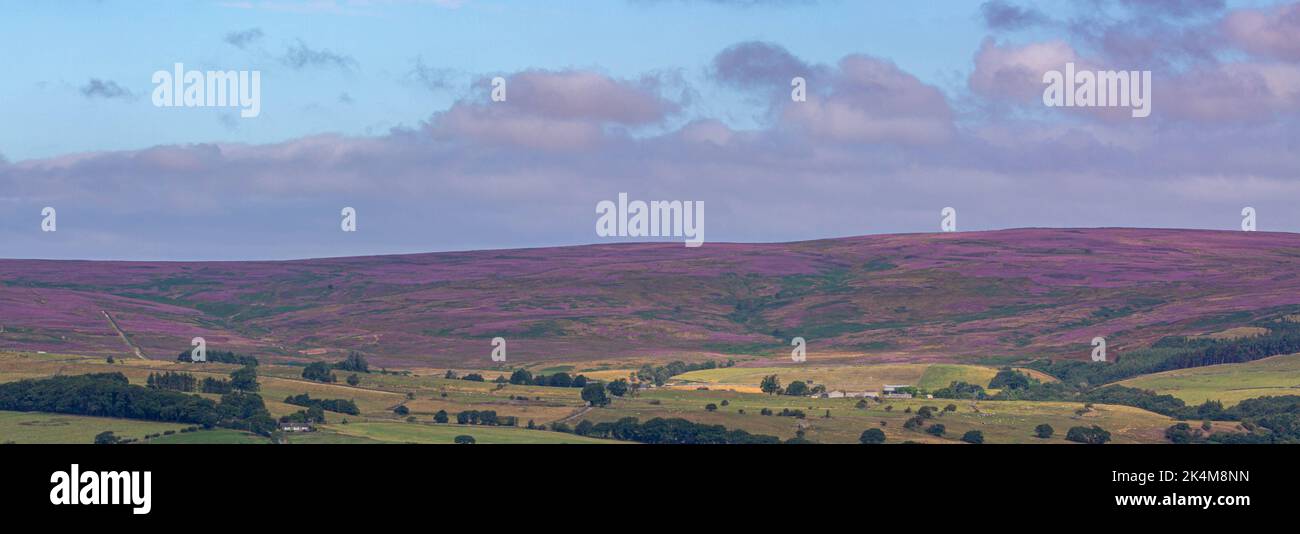 Ein Blick auf Ilkley Moor Yorkshire Stockfoto