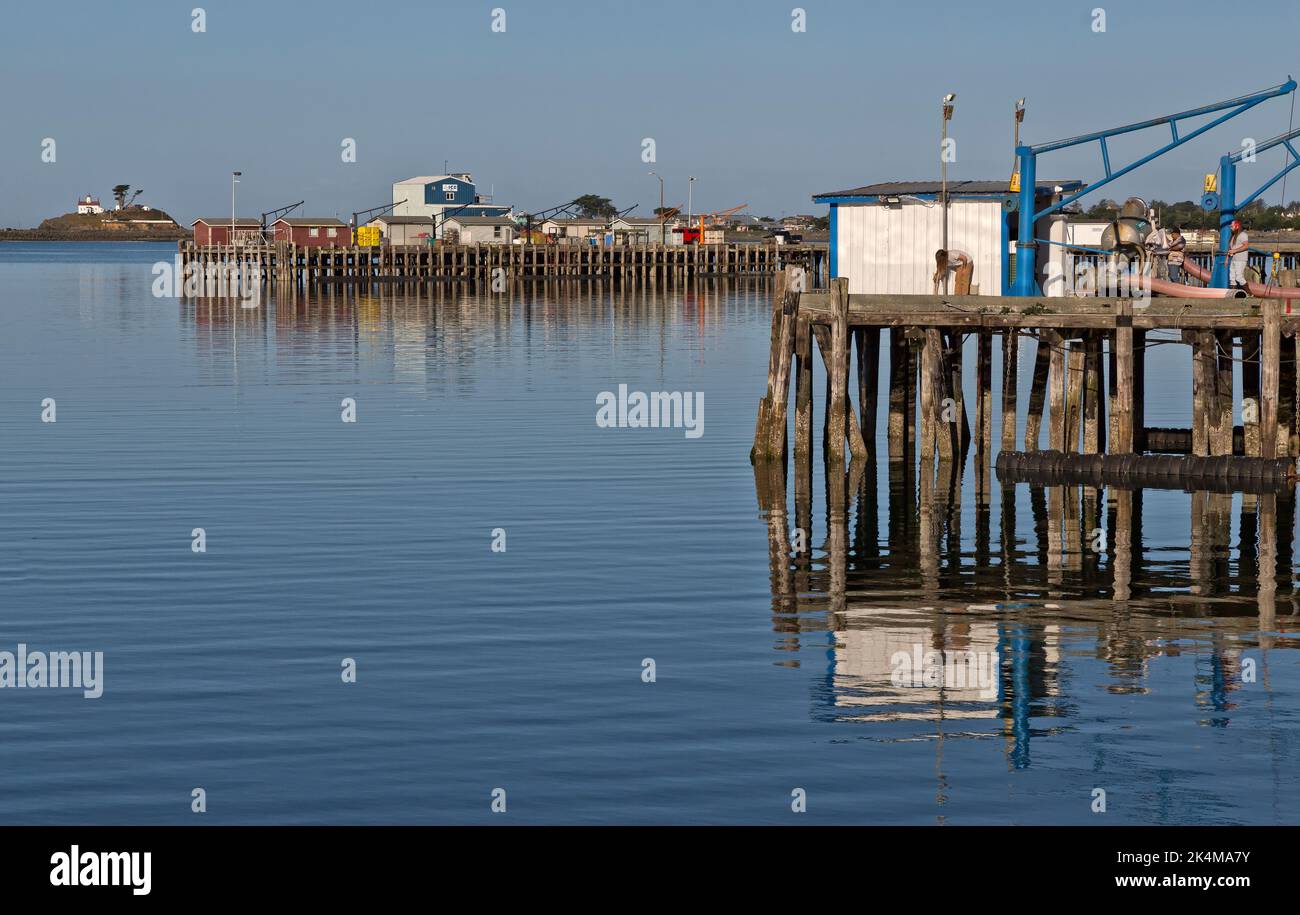 Crescent City Harbor Industrie, Fisch, Garnelenlieferdocks, Eis für Fischerboote, Battery Point Lighthouse, Pazifischer Ozean, Crescent City, Kalifornien. Stockfoto