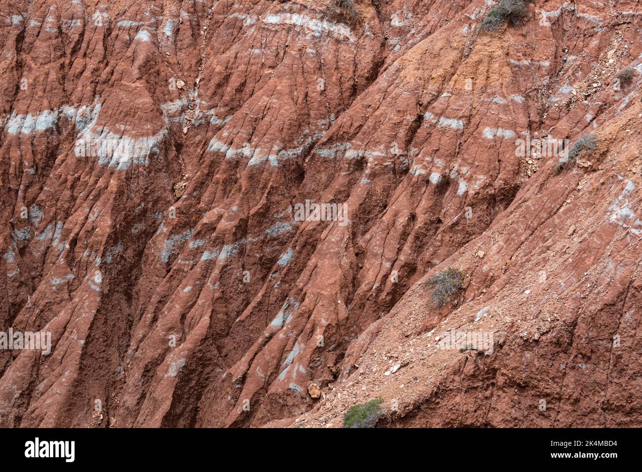 Detaillierte Nahaufnahme von Gesteinsformationen, die eine Vielzahl geologischer Merkmale und Muster in der Küstenregion im Südwesten Portugals zeigen Stockfoto
