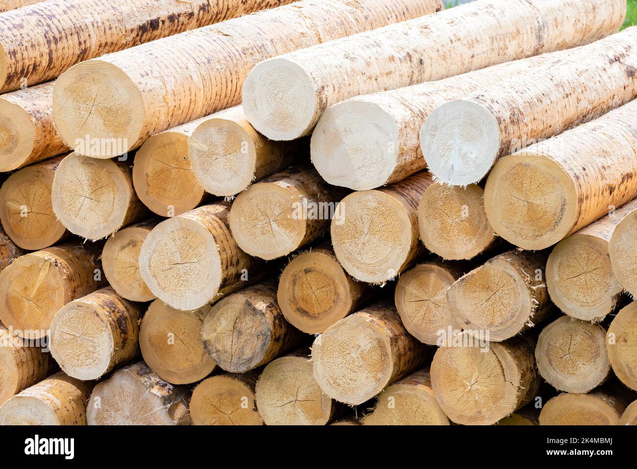 Holzverarbeitende Industrie in Alpen, Italien. Stockfoto
