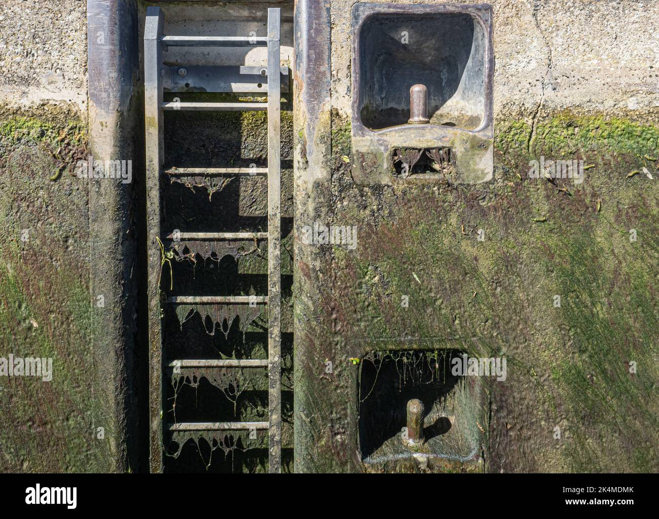 Schimmelbedeckte Leiter und Anlegestellen auf der Innenseite der Schleuse Stockfoto