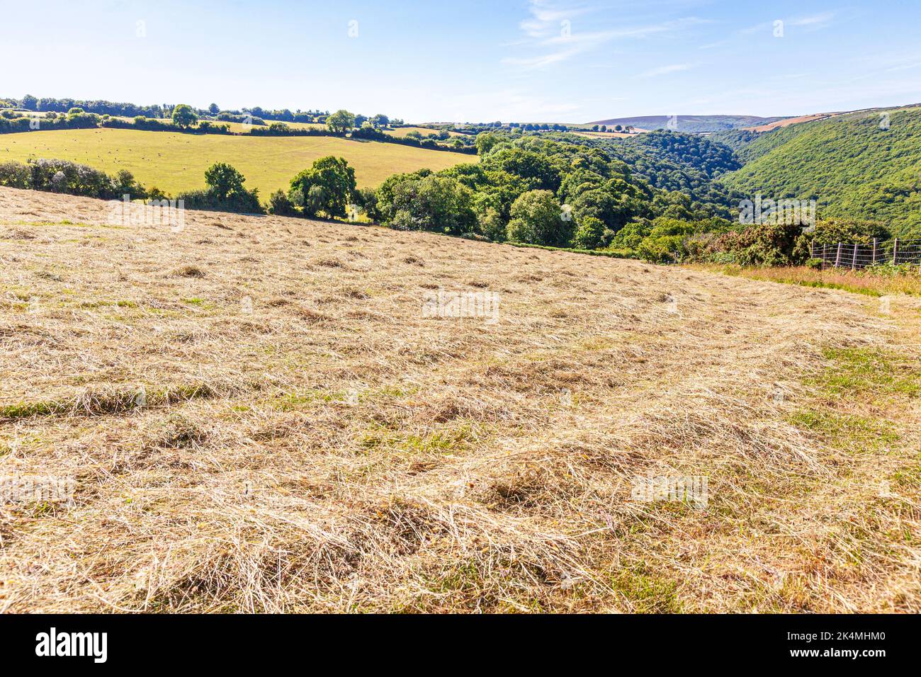 Ein Feld mit gemähtem Heu im Exmoor-Nationalpark in Cloutsham, Somerset, Großbritannien Stockfoto