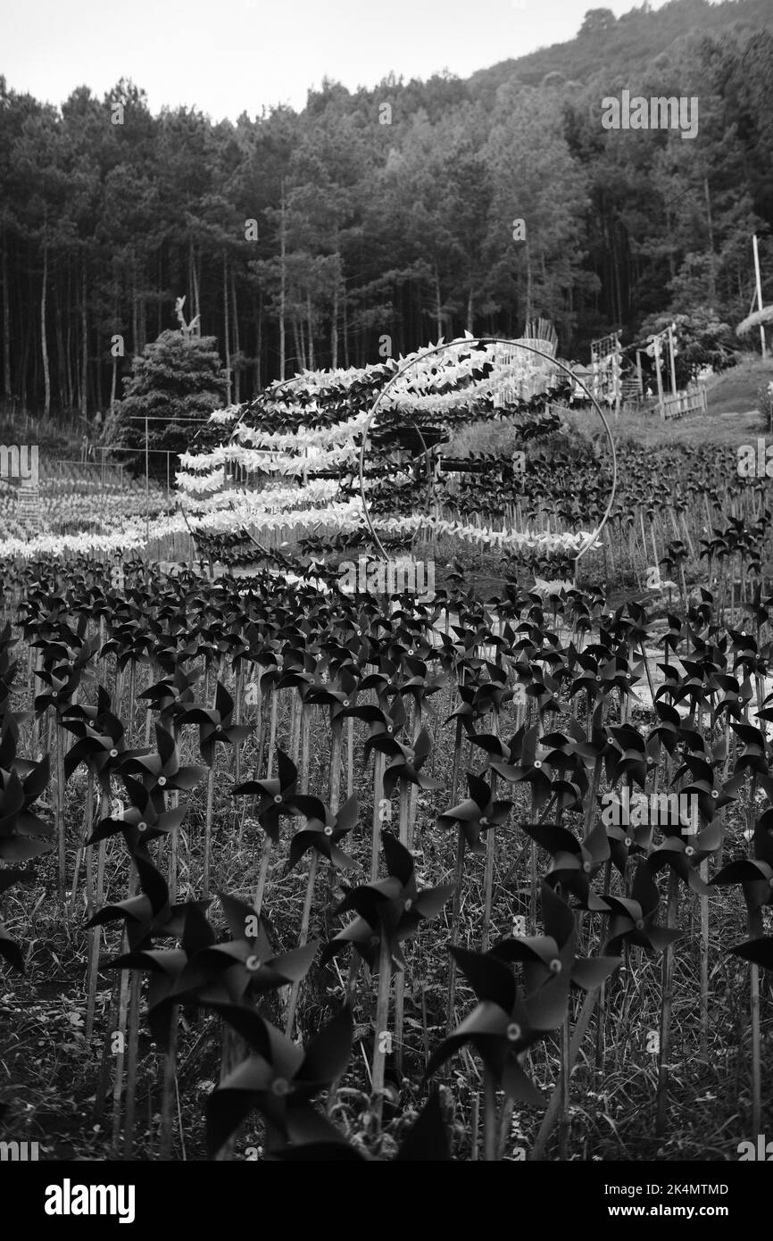 Monochromes Foto von Tausenden von Windmühlen, die den Zandea-Park in der Cikancung-Hügellandschaft - Indonesien schmücken Stockfoto