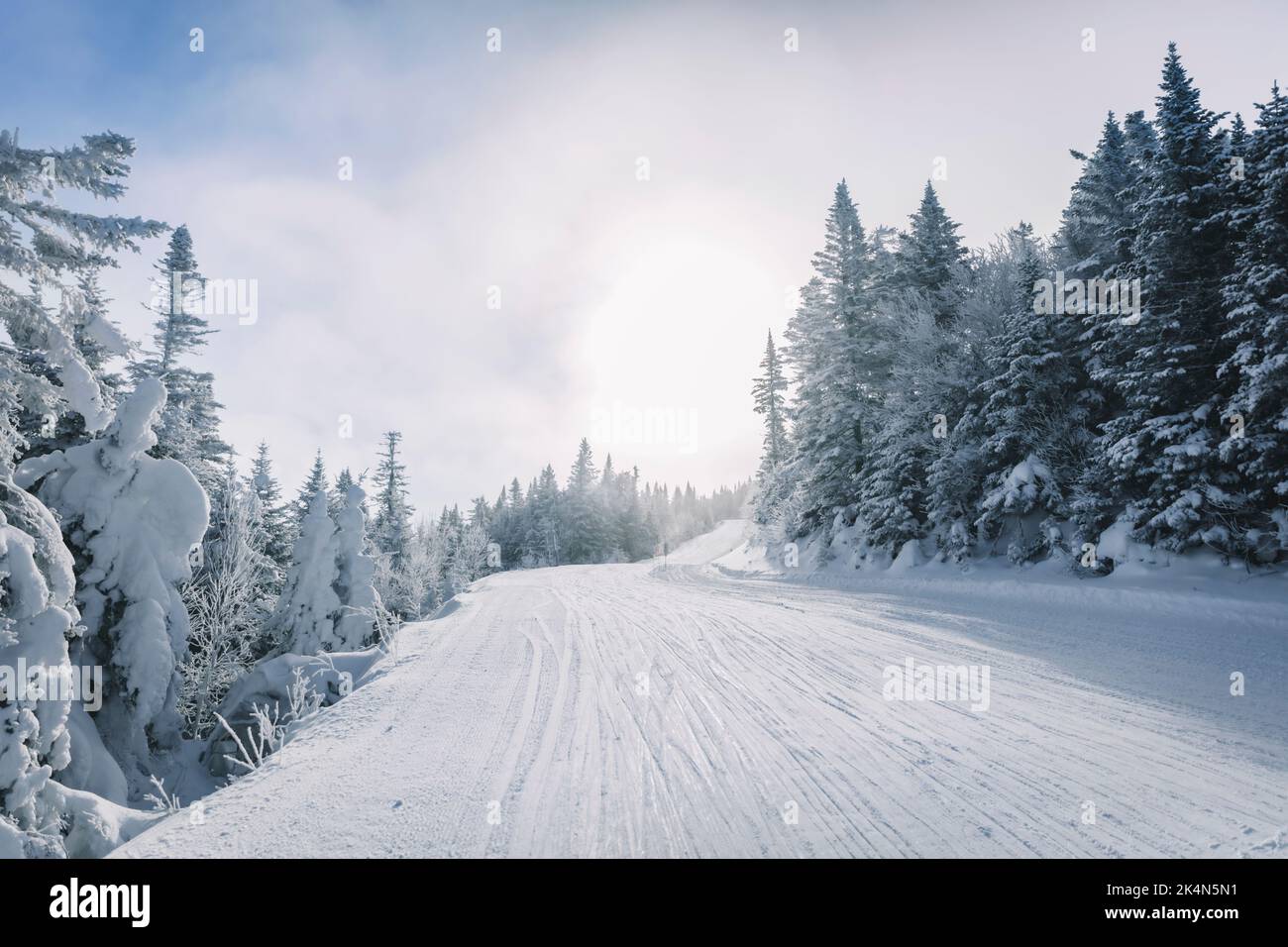 Alpine Abfahrt Skifahren Natur Winterlandschaft Am Kalten Tag Mit Schneebedeckten Bäumen Auf Ski Trail Piste. Stockfoto