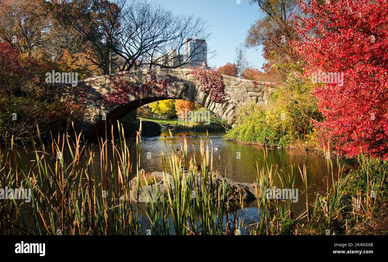 Central Park Herbstszene am See. Die Landschaft des New Yorker Herbstes Stockfoto