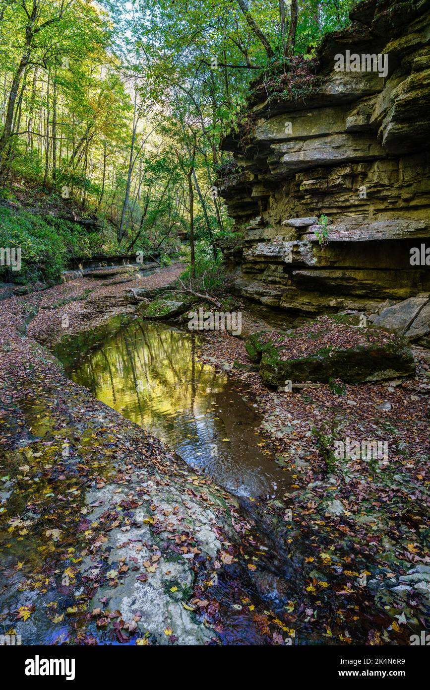 Raven Run Creek und Schlucht im Raven Run Nature Sanctuary in Lexington, Kentucky Stockfoto