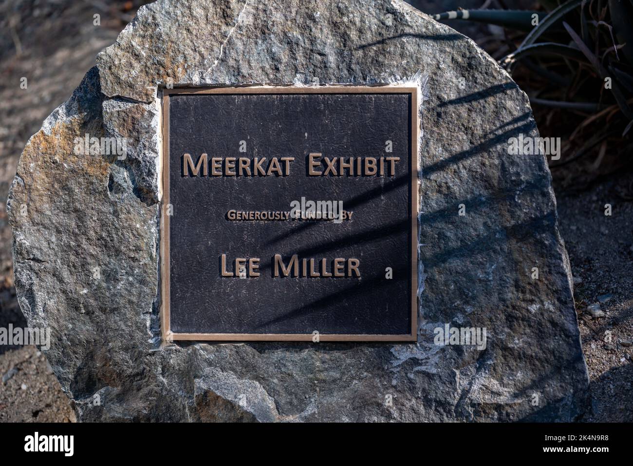 Eine von Lee Miller finanzierte öffentliche Ausstellung im Living Desert Zoo, Cali Stockfoto