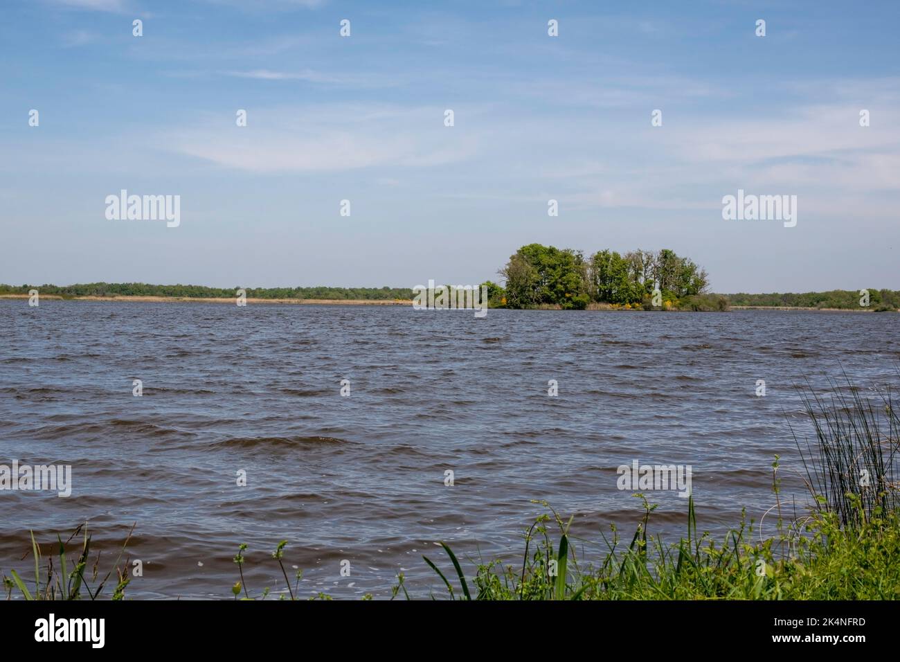 Teich des Parc Régional de la Brenne en France. Dieser Teich ist einer der 3000 anderen Teiche dieses Parc Régional. Stockfoto