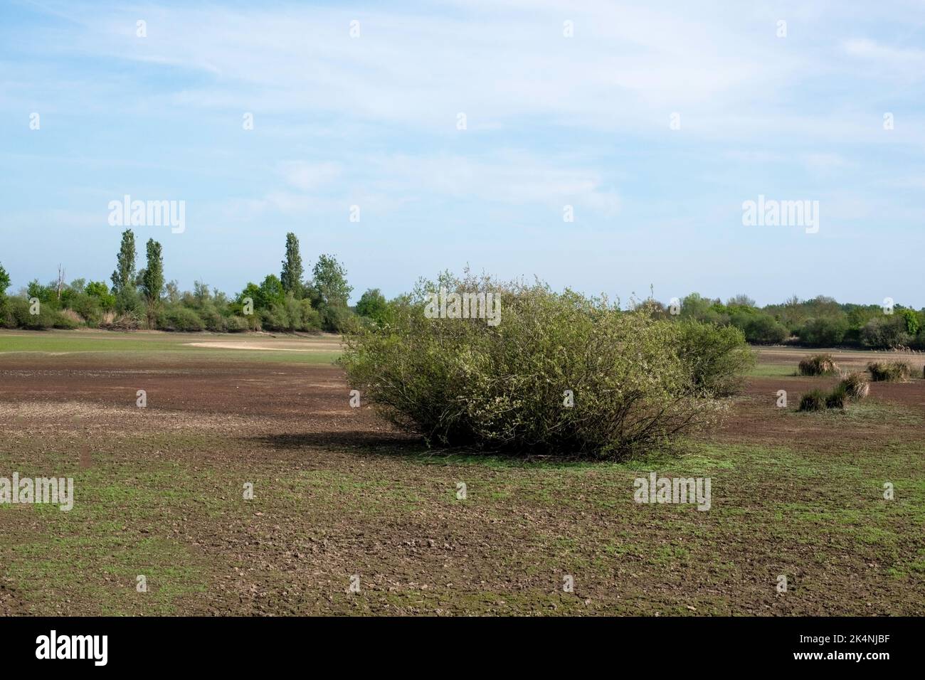 Teich des Parc Régional de la Brenne en France. Dieser Teich ist einer der 3000 anderen Teiche dieses Parc Régional. Manchmal werden einige Teiche geleert. Stockfoto