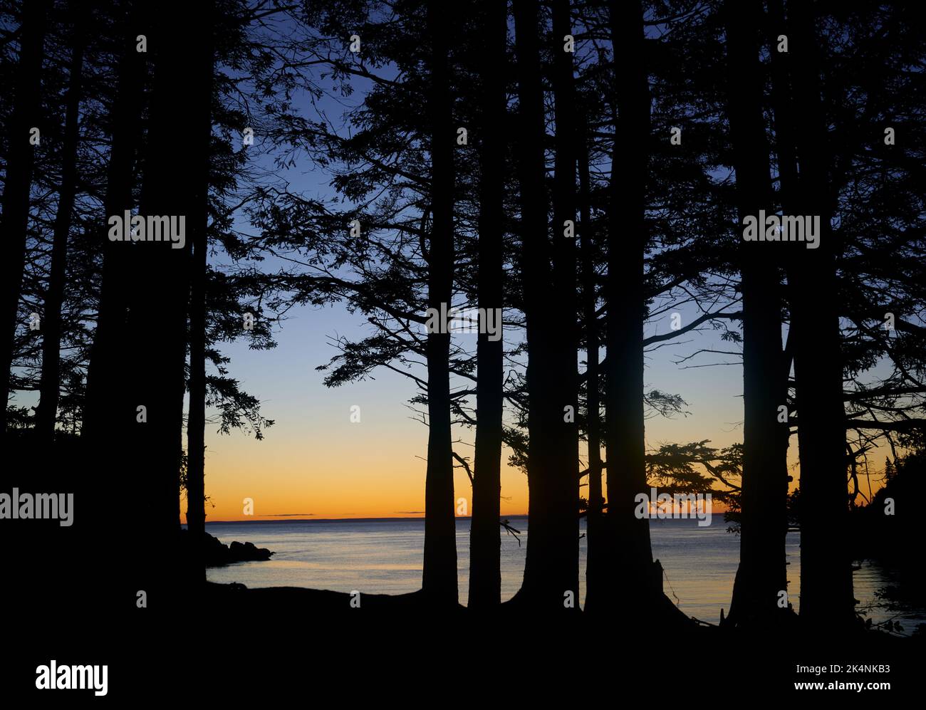 Blick auf den Sonnenaufgang vom Culter Coast Trail, Maine Stockfoto