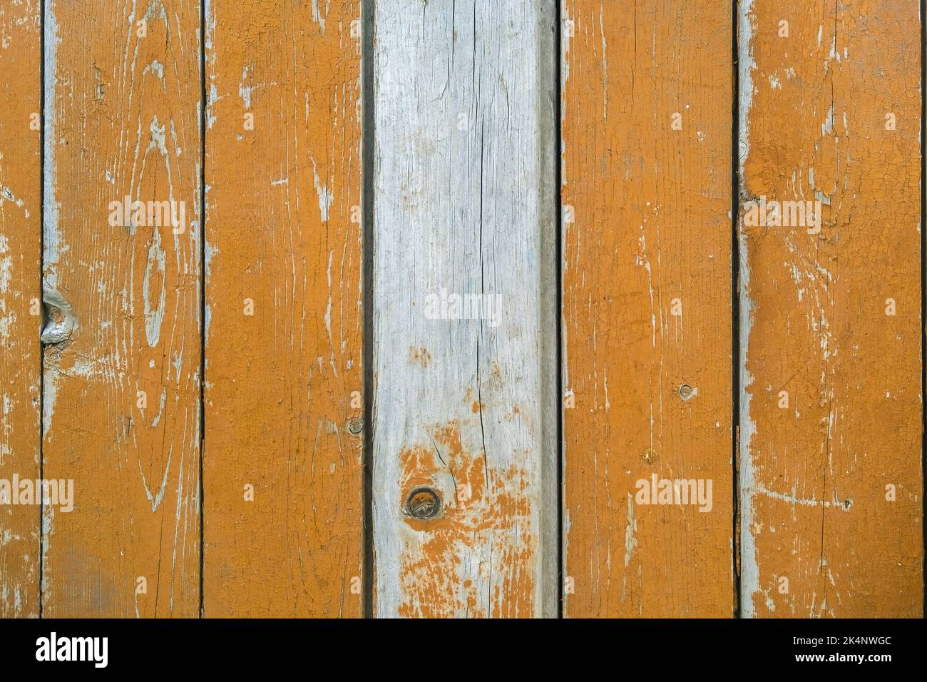 Die Textur eines alten Baumes. Die Textur von Holz mit Ästen und Löchern. Die Textur eines bemalten Zauns. Alt gestrichene Zaun. Stockfoto
