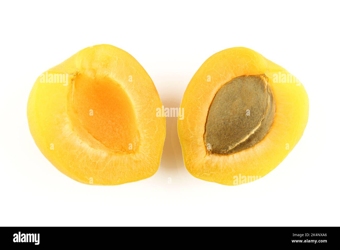 Zwei Hälften Aprikosenfrucht mit Kernsamen isoliert auf weißem Hintergrund Stockfoto