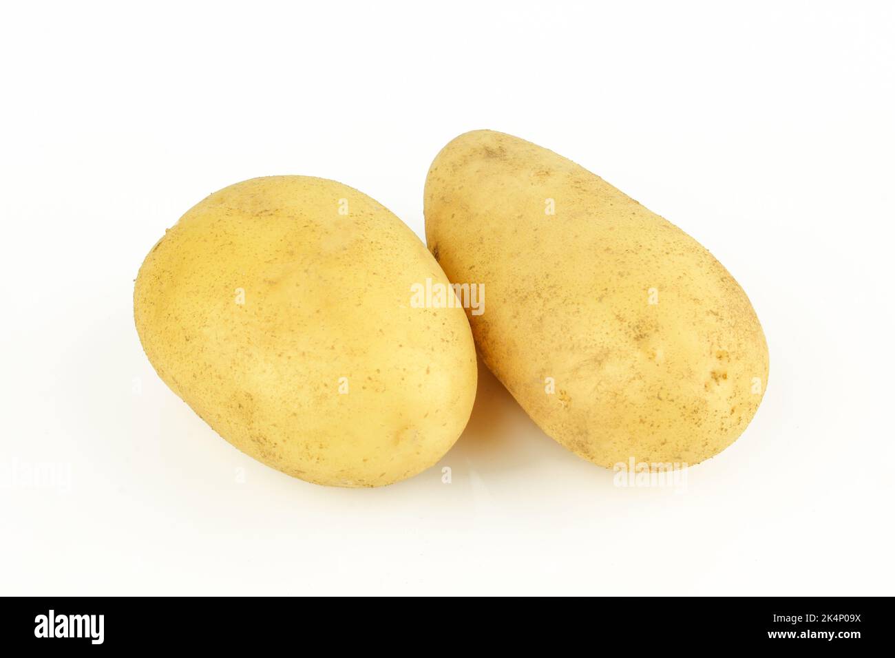 Zwei rohe Bio-Kartoffeln isoliert auf weißem Hintergrund Stockfoto