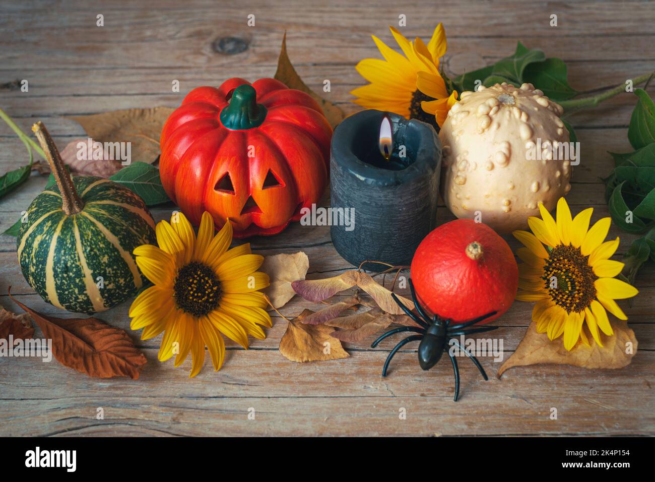 Halloween festliches Layout mit Jack-O-Laterne, Kürbissen, Kerze, Sonnenblumen und Spinne auf Holztisch. Konzept der Herbstferien. Draufsicht. Stockfoto