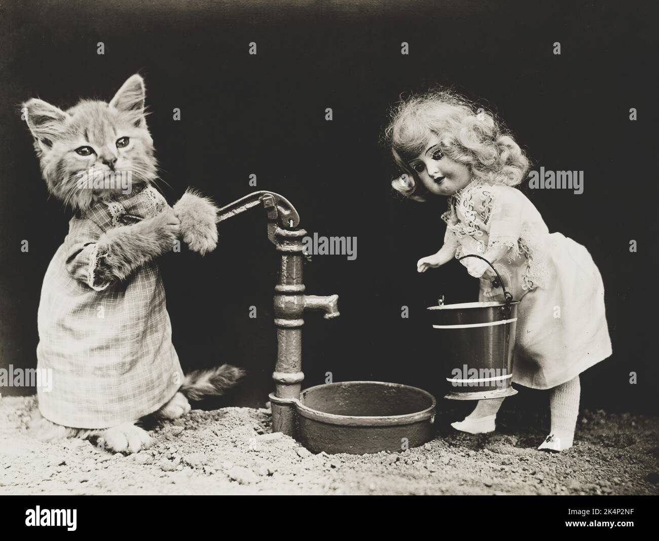 Ein Kätzchen, das Kleidung trägt und Wasser für eine Puppe pumpt, befreit auf einem Foto namens „Pumping“ von Harry Whittier Stockfoto