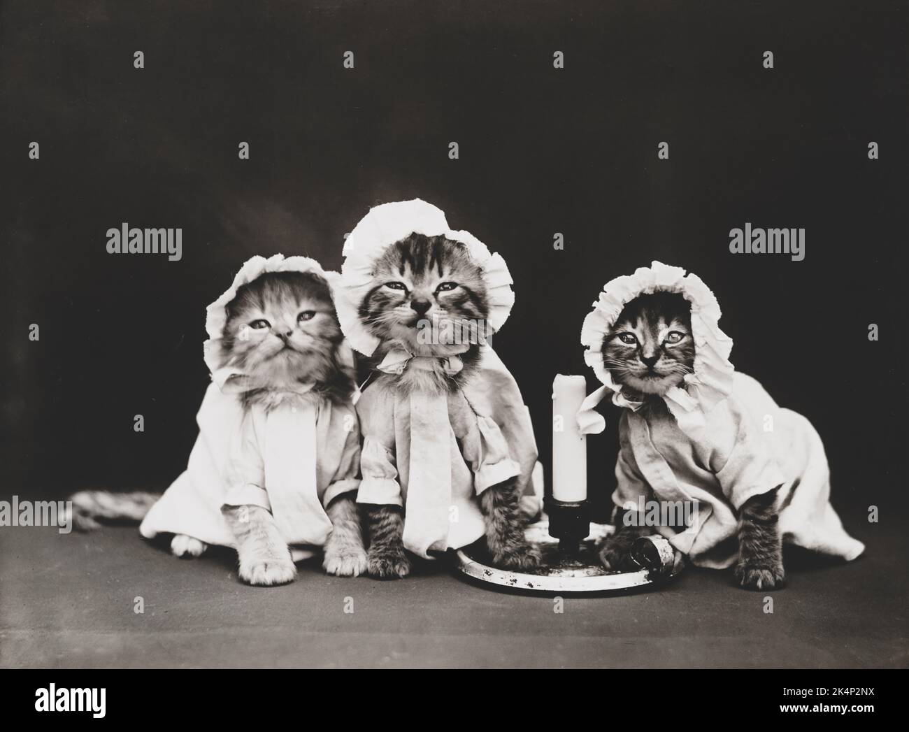 Drei Kätzchen sind gekleidet, um mit einem Foto namens „Ready for bed“ von Harry Whittier Frees ins Bett zu gehen Stockfoto