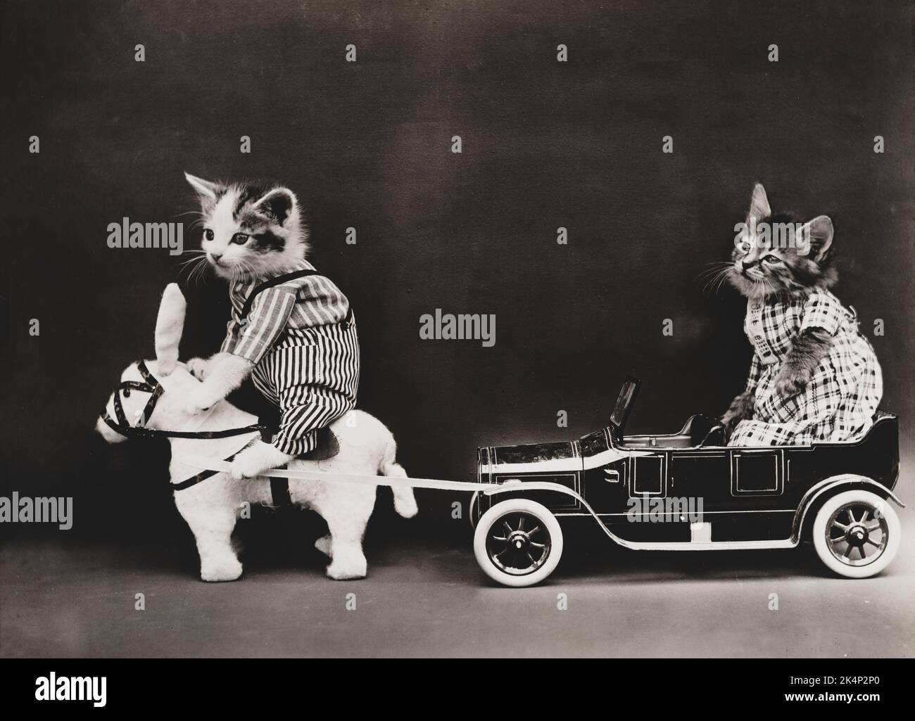 Zwei Kätzchen und ein abgebrochenes Auto, auf einem Foto namens „The Breakdown“ von Harry Whittier, befreit Stockfoto