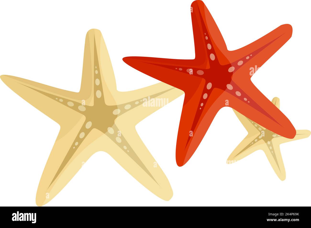 Seesterne, Illustration, Vektor auf weißem Hintergrund. Stock Vektor
