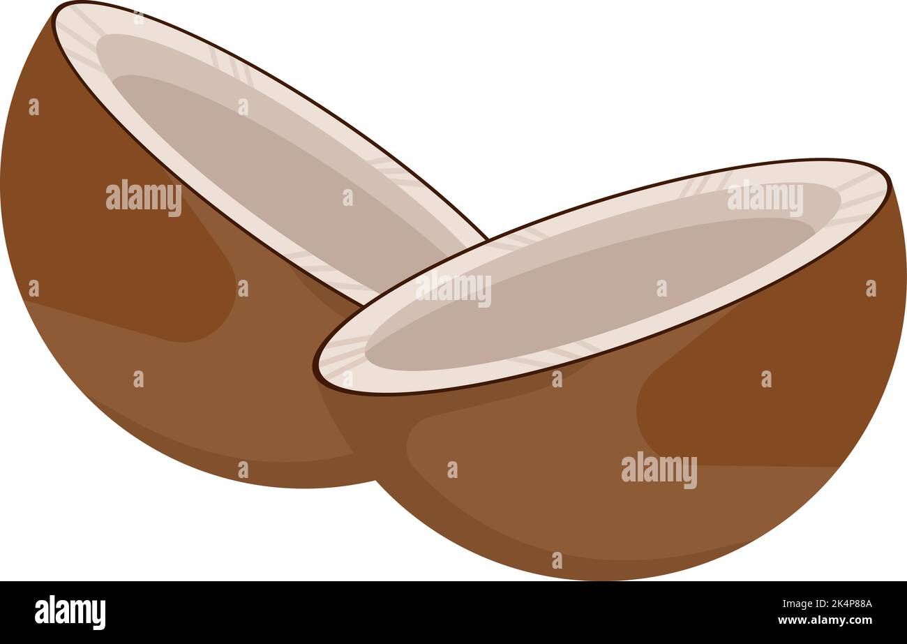 Kokosnussschale, Illustration, Vektor auf weißem Hintergrund. Stock Vektor