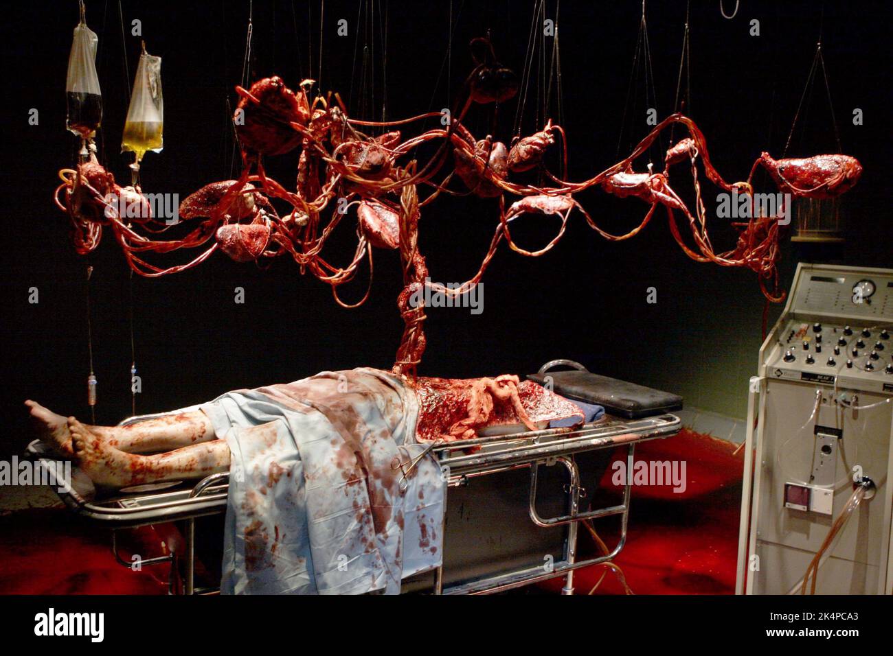 Menschliche Eingeweide, Organe, Autopsie, 2008 Stockfoto