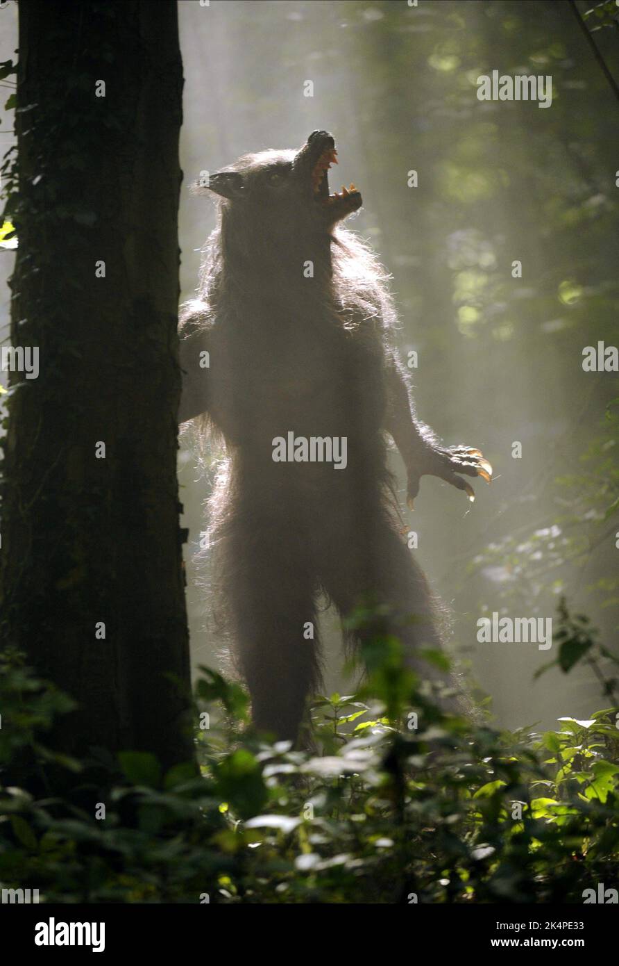 WERWOLF, MENSCH SEIN, 2008 Stockfoto