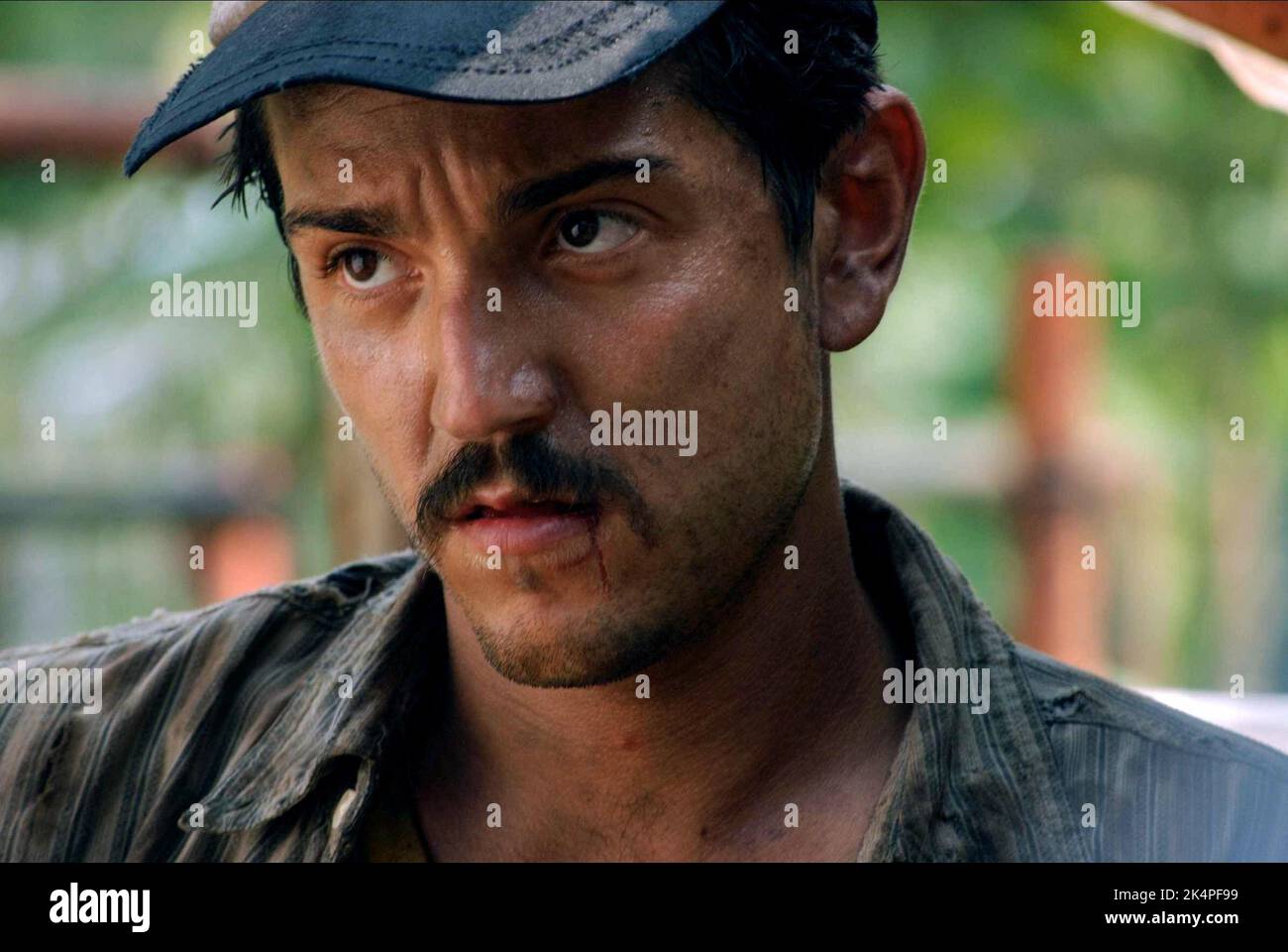 DIEGO LUNA, RUDO Y CURSI, 2008 Stockfoto