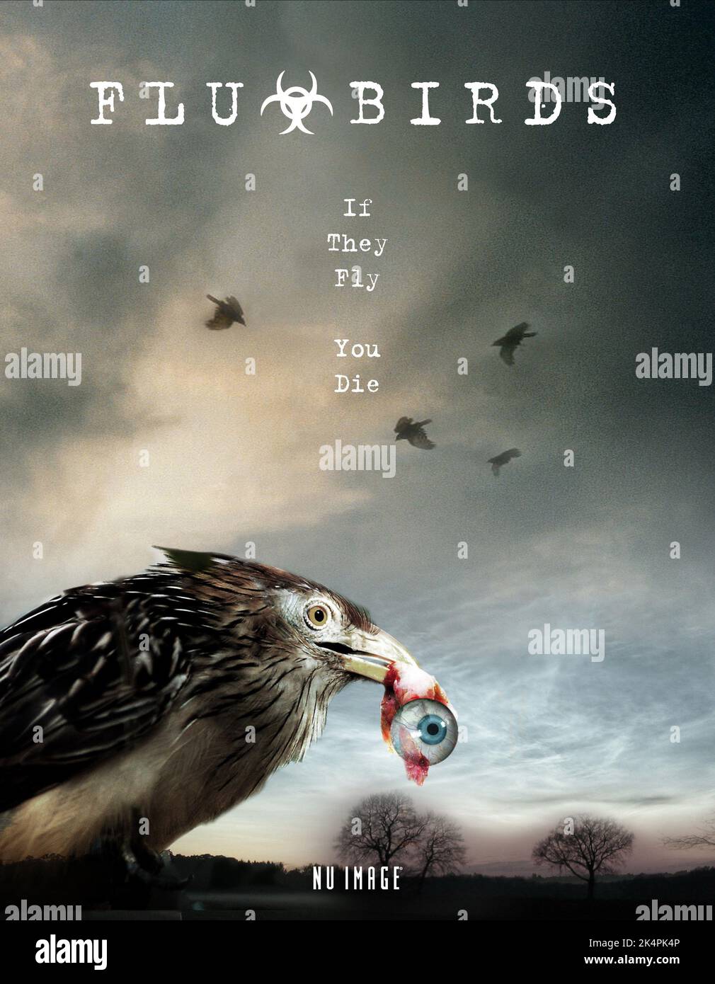 FILMSZENE, GRIPPEVÖGEL-HORROR, 2008 Stockfoto