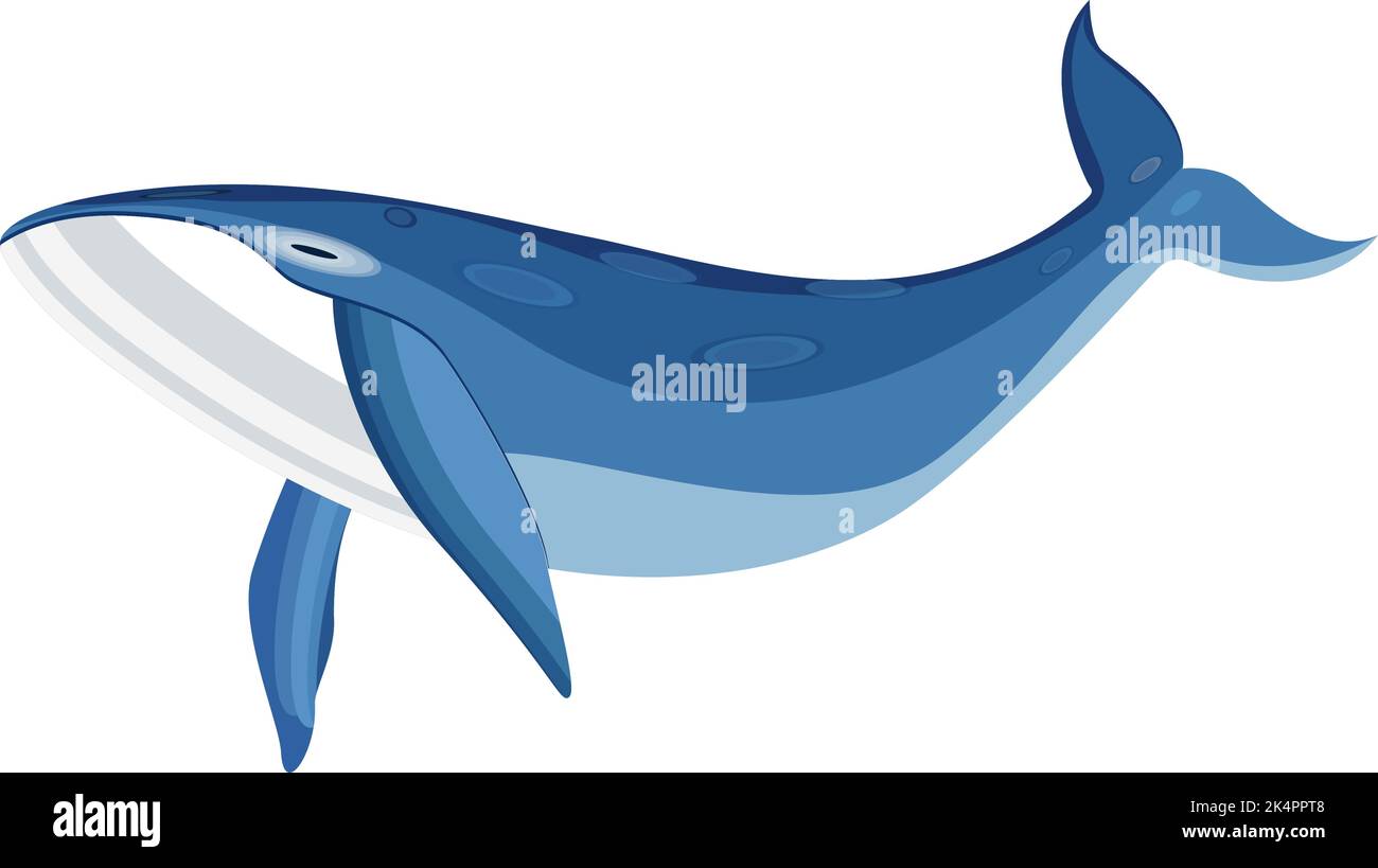 Blauer Wal, Illustration, Vektor auf weißem Hintergrund. Stock Vektor