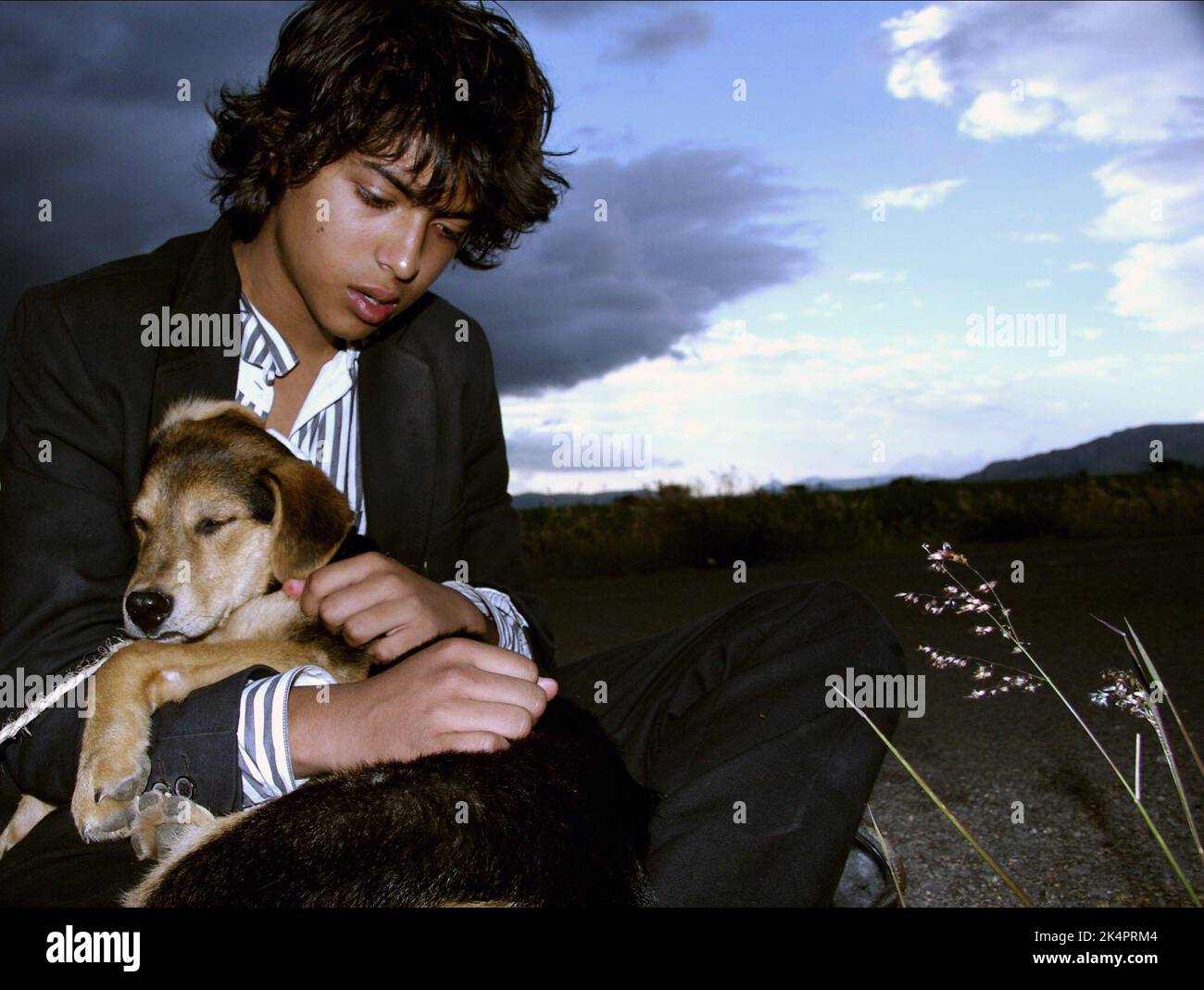 HERNANDEZ, HUND, I'M WILL EXPLODIEREN, 2008 Stockfoto