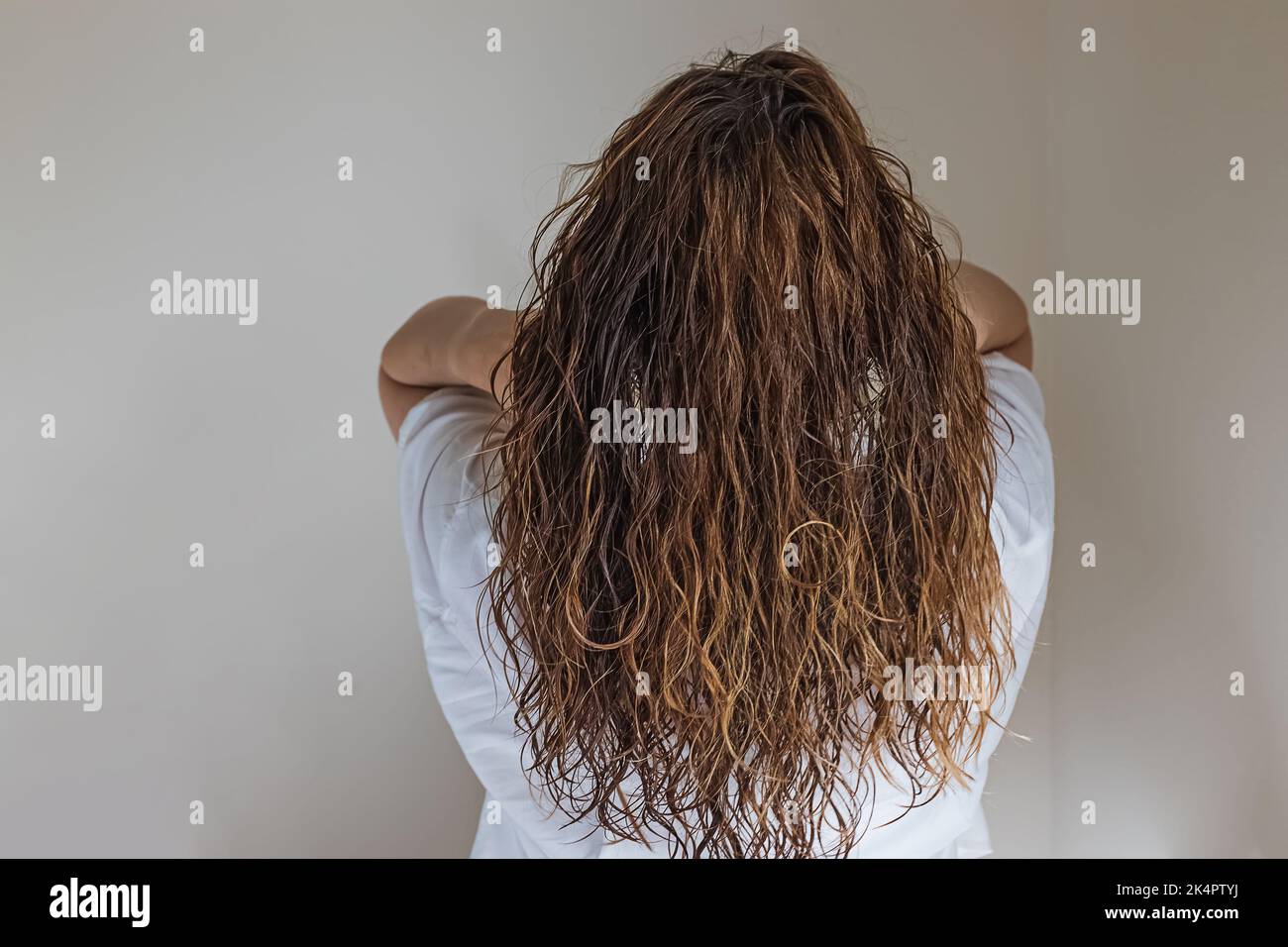 Brunette Frau berühren lange wellige Haare, Blick von hinten. Styling mit lockiger Methode, Lufttrocknung Stockfoto