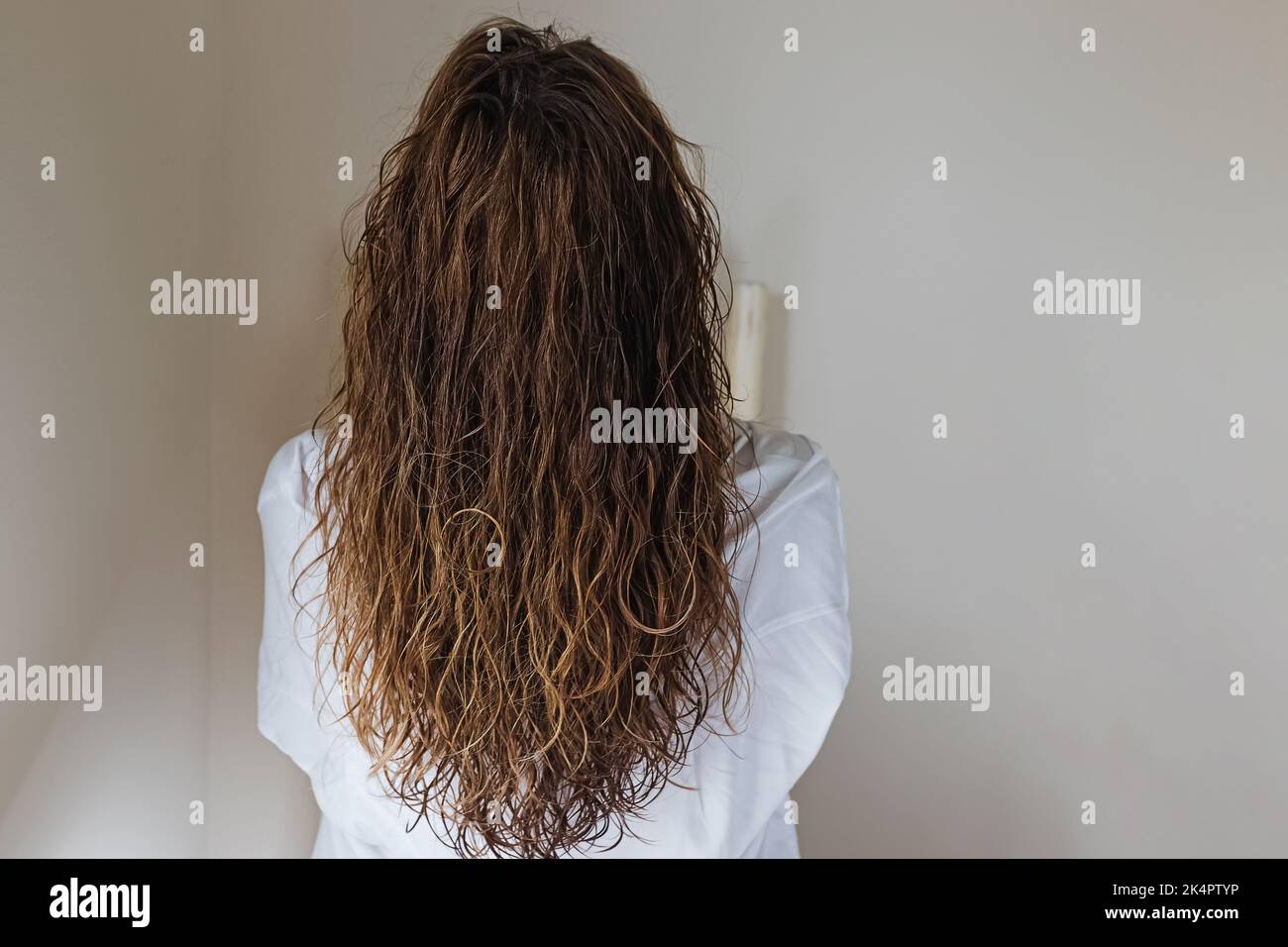 Brunette Frau mit langen welligen Haaren, Blick von hinten. Styling mit lockiger Methode Stockfoto