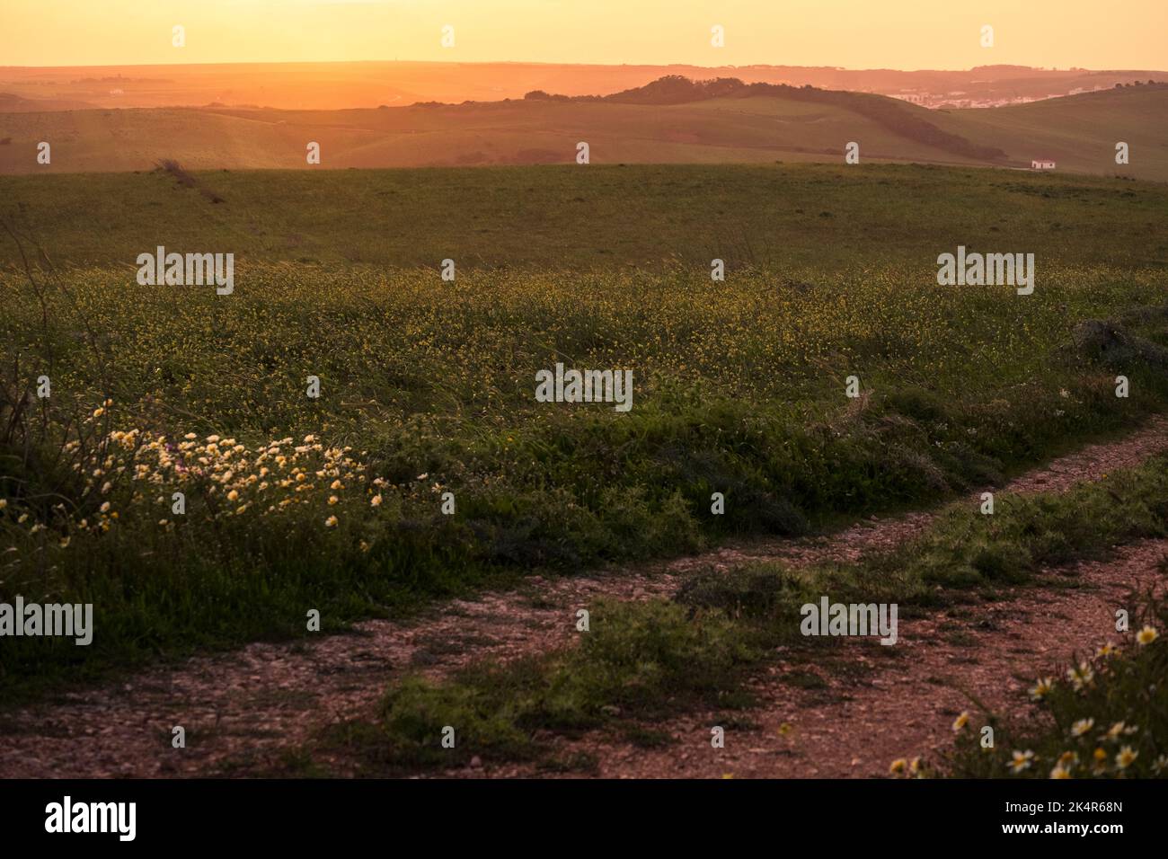 Grasfeld, sanfter Sonnenuntergang, südliches Portugal Stockfoto